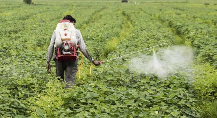 Agrochemical Industry: Outlook 2022