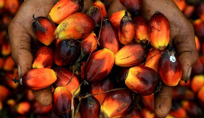 Facts you need to about India’s palm oil production since 2016-17?