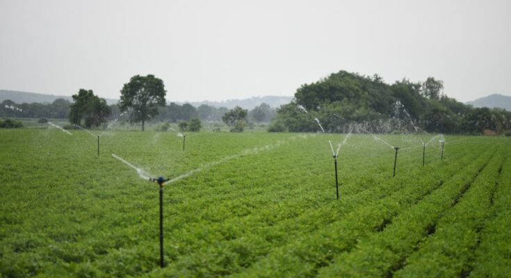 India covers 59 lakh ha area with micro-irrigation under PMKSY