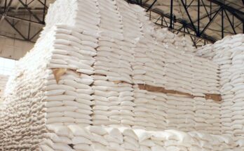 India exports 70 LMT of sugar in sugar season 2020-21