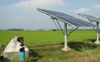 Indian farmers can rely on solar powered-irrigation for better crop productivity