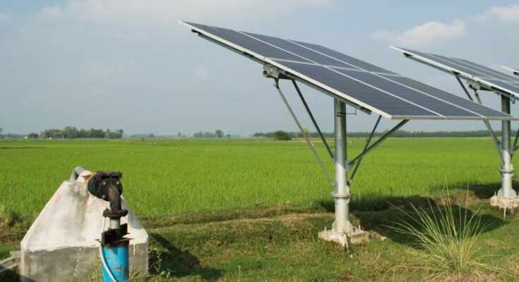 Indian farmers can rely on solar powered-irrigation for better crop productivity