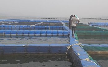 Govt emphasises on promoting robust cage aquaculture