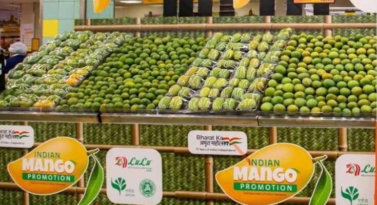 India secures USDA approval for exporting mangoes to USA in 2022 season