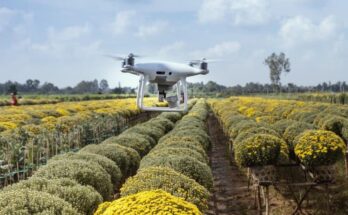 Budget 2022: CropLife India welcomes the move on ‘Kisan Drones’ for agrochemical spraying, crop assessment and digitisation