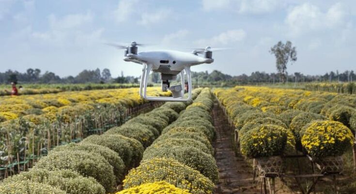 Budget 2022: CropLife India welcomes the move on ‘Kisan Drones’ for agrochemical spraying, crop assessment and digitisation