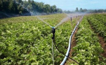 How has been the coverage of micro irrigation in India? See the Govt figures…