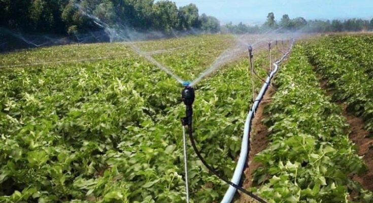 How has been the coverage of micro irrigation in India? See the Govt figures…
