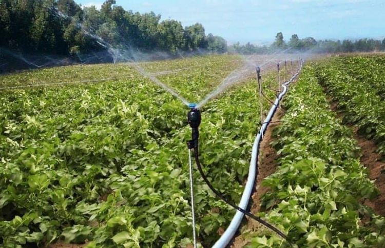 necessity of irrigation in india