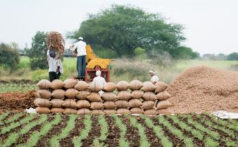 India’s foodgrain production is estimated to be 316 million tonnes in 2021-22