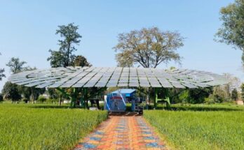 CSIR-CMERI creates global record by developing world’s largest Solar Tree