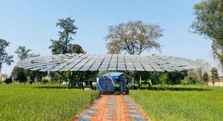CSIR-CMERI creates global record by developing world’s largest Solar Tree