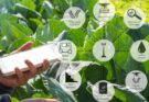 4 ways to make agritech platforms user-friendly for farmers