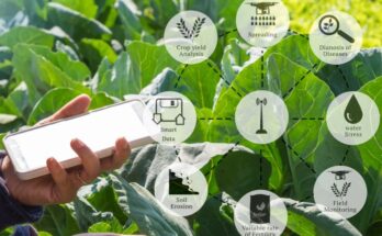 4 ways to make agritech platforms user-friendly for farmers
