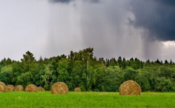 Fasal, IMD collaborate for research on weather forecast models to make farming climate-smart