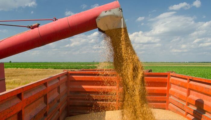 Govt extends wheat procurement season till May, 31, 2022