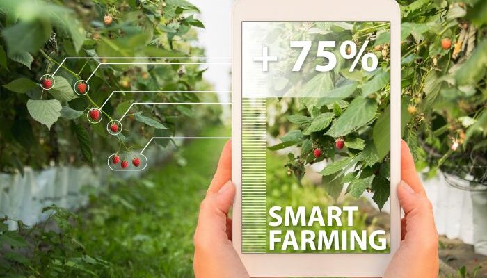 National Technology Day: Agritech startups accelerating tech revolution in agriculture