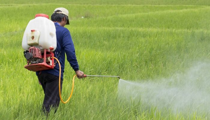 FICCI calls for reduction of GST on agrochemicals to 5 per cent
