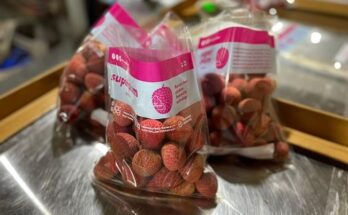 Superplum rolls out IoT-enabled litchi supply chain
