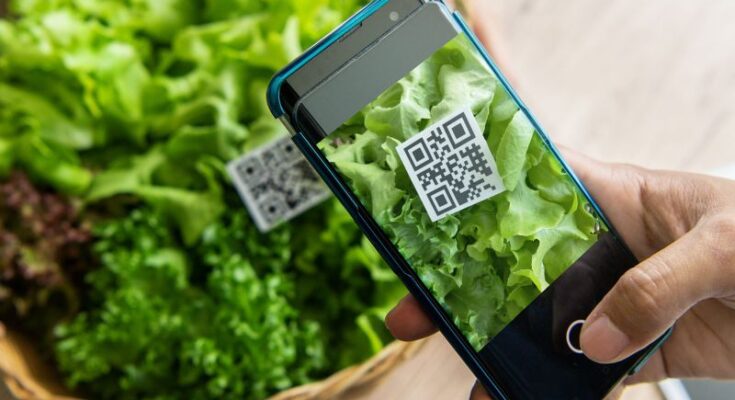 New age tech entrepreneurs disrupting agriculture ecosystem in India