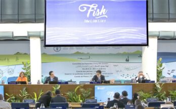 Fisheries and aquaculture key to providing food, nutrition and jobs: FAO DG