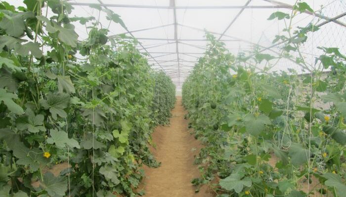 GROWiT partners with Samunnati to promote protective farming techniques