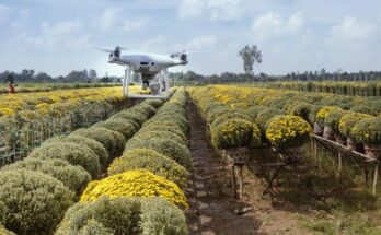 India sharpens focus on geospatial technology application in agriculture
