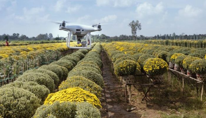 India sharpens focus on geospatial technology application in agriculture