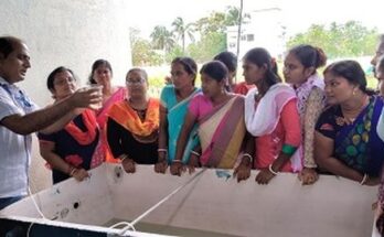 How homestead hatchery based Bengal Cat Fish seed production brings a viable livelihood model for landless farm women