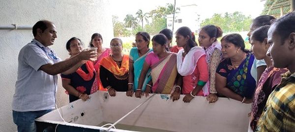 How homestead hatchery based Bengal Cat Fish seed production brings a viable livelihood model for landless farm women