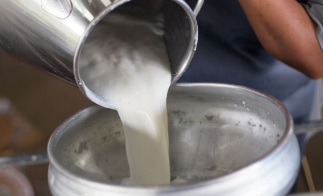 5 government schemes facilitating subsidy and interest subvention to enhance milk productivity