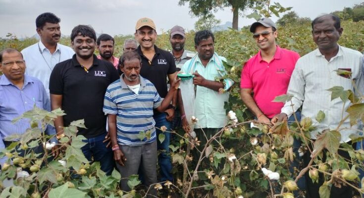 Preventing cotton from pink bollworm: A tale of Telangana