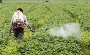 Best Agrolife gets CIBRC nod to manufacture Propaquizafop Technical herbicide