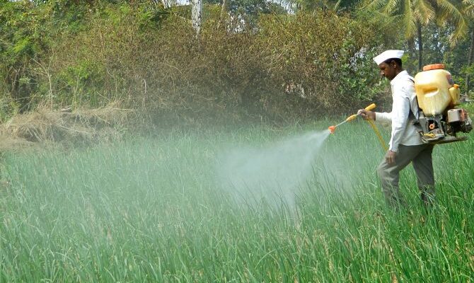 Budget 2023: CropLife India urges Govt to bring GST rate cut in agrochemicals to benefit farmers