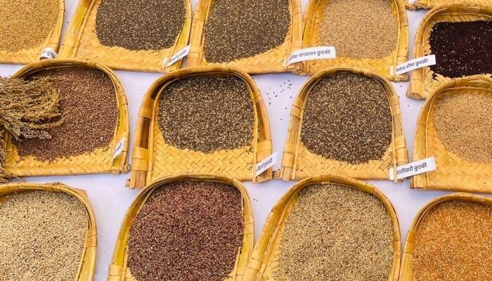 FAO Feature: 6 reasons to take millets to the market!