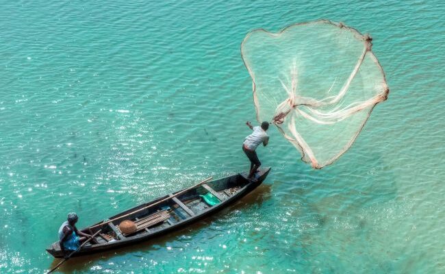 Budget 2023: Allocation for Fisheries Dept grows 38.45% over the previous Budget