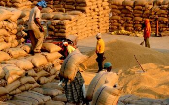 Centre’s paddy procurement crosses 700 LMT mark from over 96 lakh farmers