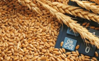 Food Corporation of India offers 11.72 LMT wheat from 620 depots in 3rd e-auction