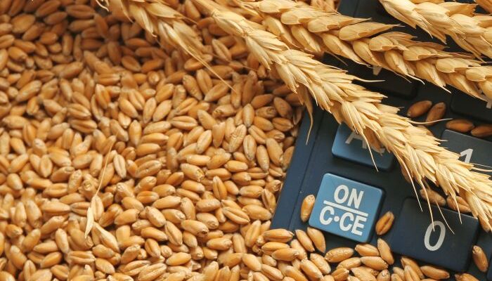 Food Corporation of India offers 11.72 LMT wheat from 620 depots in 3rd e-auction