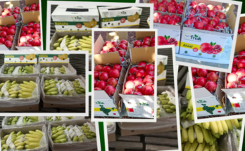 Fasal launches procurement network ‘Fasal Fresh’ to revamp horticulture value chain