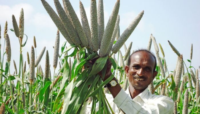 ICRISAT, Plasma Water join hands to scale up plasma technology to enhance crop yield in drylands