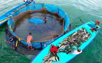 Mariculture offers bright business prospect for India’s coastal region: CMFRI study