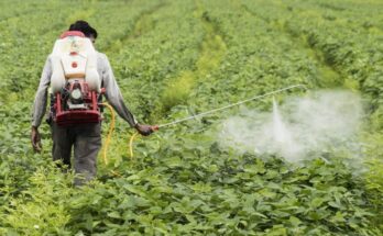 Agrochemical manufacturer Best Agrolife aims to increase its market share by 20%