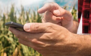 How are Blockchain technology and ChatGPT going to impact the agriculture sector?