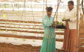 Truly Desi, VVF launch experience centre to let people explore regenerative and organic farming practices
