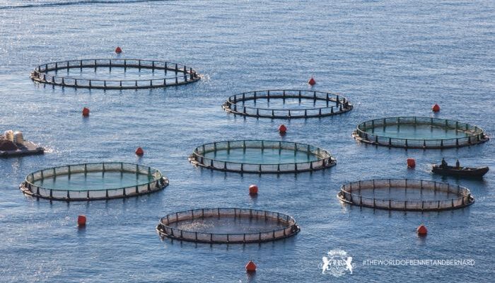 Bennet and Bernard Group join hands with TERI to promote aquaculture in Goa