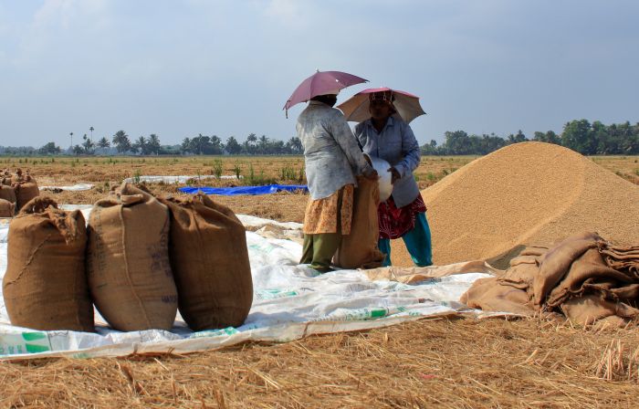 India’s foodgrain production is estimated at 330.5 million tonnes in ...