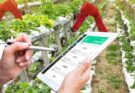 VCs make US$2.4bn venture capital funding in Indian AgriFoodTech in 2022: Report