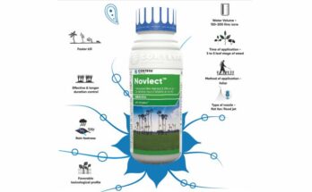 Corteva Agriscience launches Novlect herbicide to control weed in rice crop