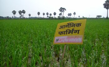What are the Government initiatives on research and development in organic fertilisers? Read here…
